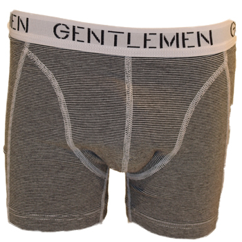Gentlemen Boxer